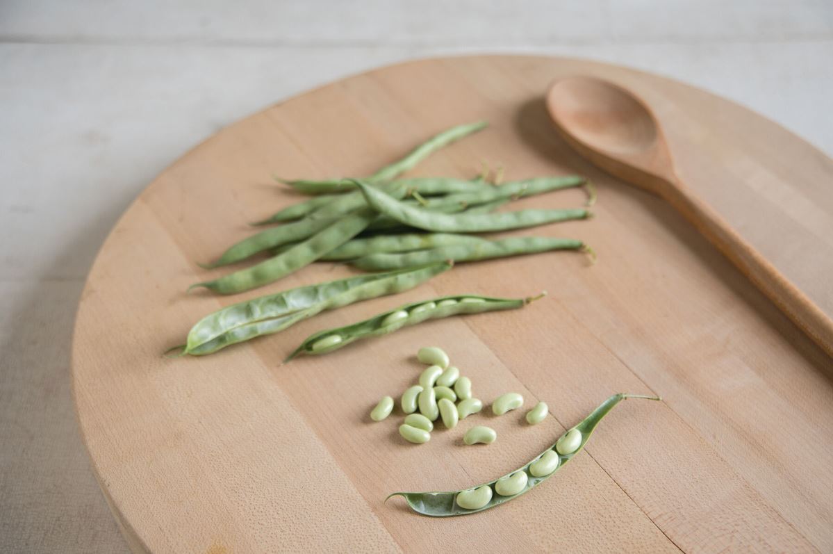 Flagrano – Bean Seed